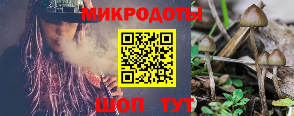 Альметьевск  Псилоцибиновые грибы прущие грибы  Псилоцибиновые грибы Psilocybine cubensis  Вход с VPN 