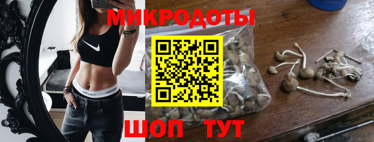 Псилоцибиновые грибы GOLDEN TEACHER Альметьевск